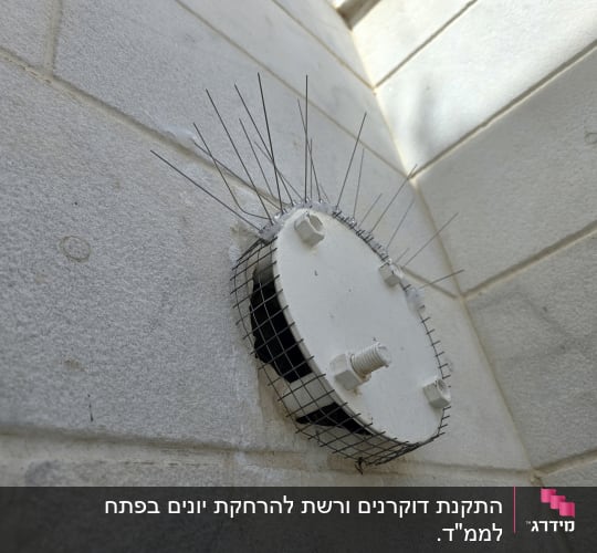 מכסה עגול עם דוקרנים ורשת על קיר אבן